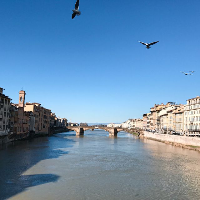 Timeless Icon of Florence  🇮🇹