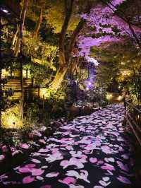 【東京】絶対に行ってほしい✨幻想的な世界