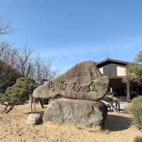 鳥取、鳥根県おすすめする理由3選