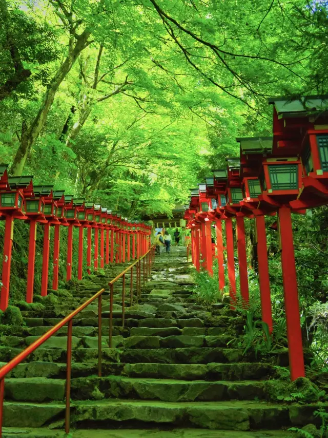 【京都】新緑のGWにオススメ‼️京都屈指の観光スポットを紹介🔍