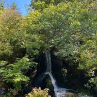 「湖光山色，舟遊豬苗代湖