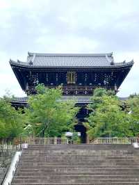 【京都観光】可愛いアヒルがお出迎え♡花玉手水に癒される寺院