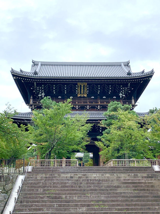 【京都観光】可愛いアヒルがお出迎え♡花玉手水に癒される寺院