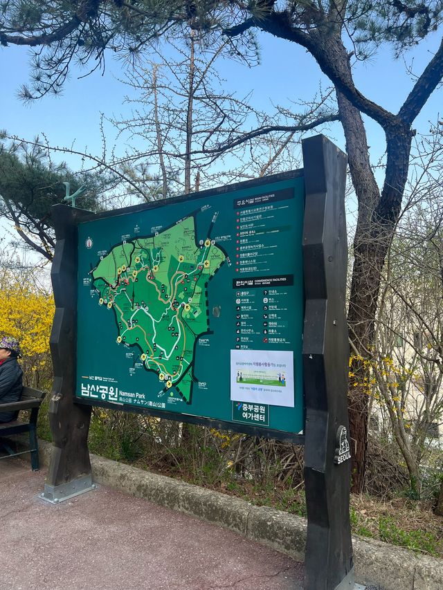 Namsan Park in South Korea 🇰🇷🌸