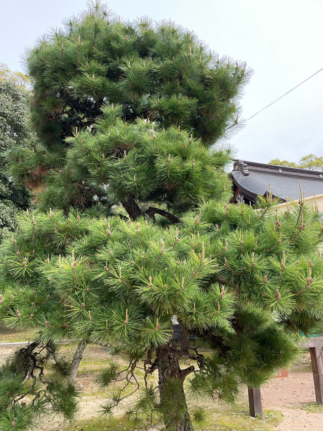 松門神社を参拝！