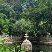 衛武營都會公園：自然的完美🎭🌳