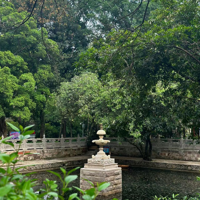 衛武營都會公園：自然的完美🎭🌳