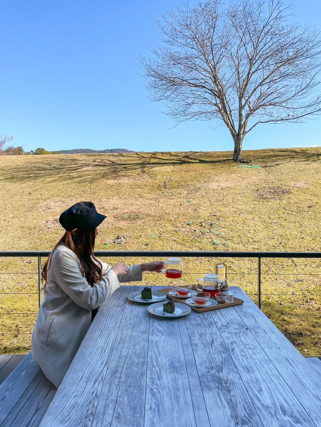 【奈良】 ホテル内にある絶景テラスカフェ