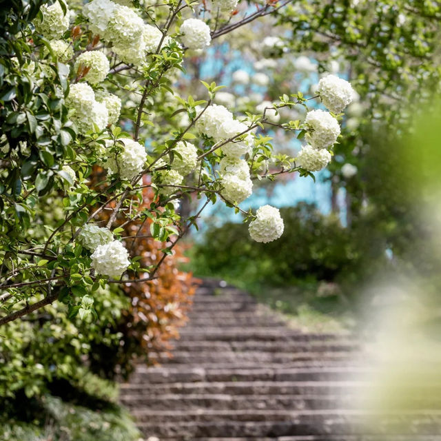 「臺北仁義潭水庫：山脈湛藍，近距離欣賞美麗風景」