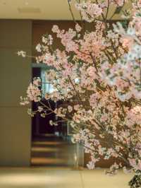 東京住宿推薦｜Groove hotel ✨
