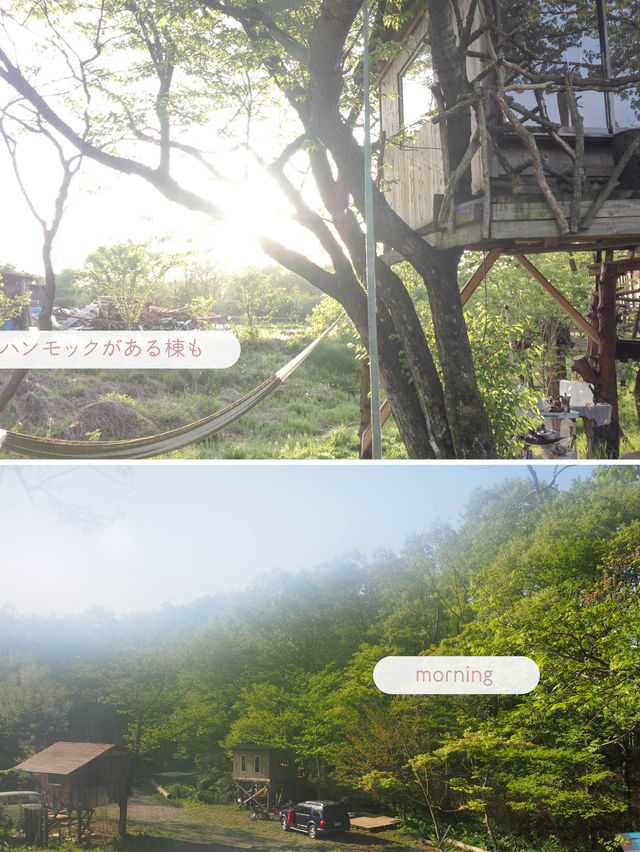 【栃木/那須】一度は泊まってみたいツリーハウス🌲