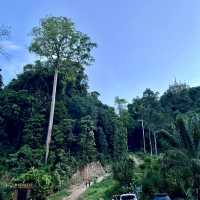 อุทยานธรรมเขานาใน จังหวัด  สุราษฎร์ธานี