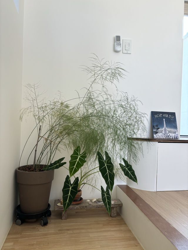 제주 동쪽 통창이 예술인 감성숙소,산책자의 집