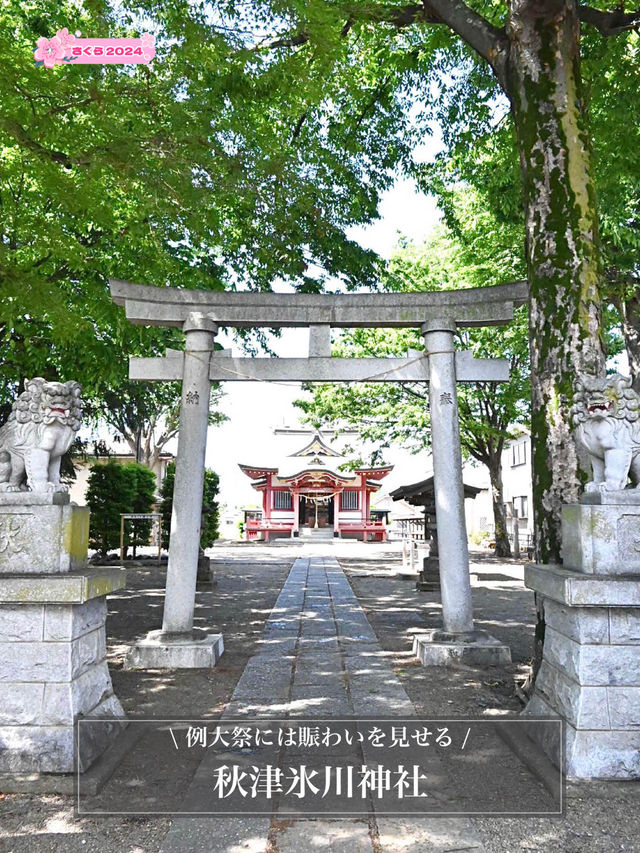 【秋津氷川神社/東京都】例大祭には賑わいを見せる