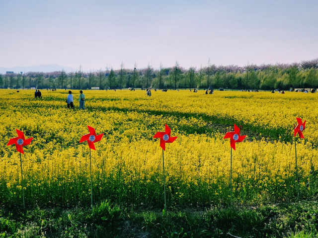 Daejeo Ecological Park