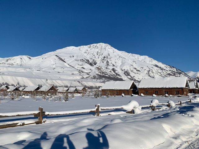 Fluffy White Snow of Northern Xinjiang