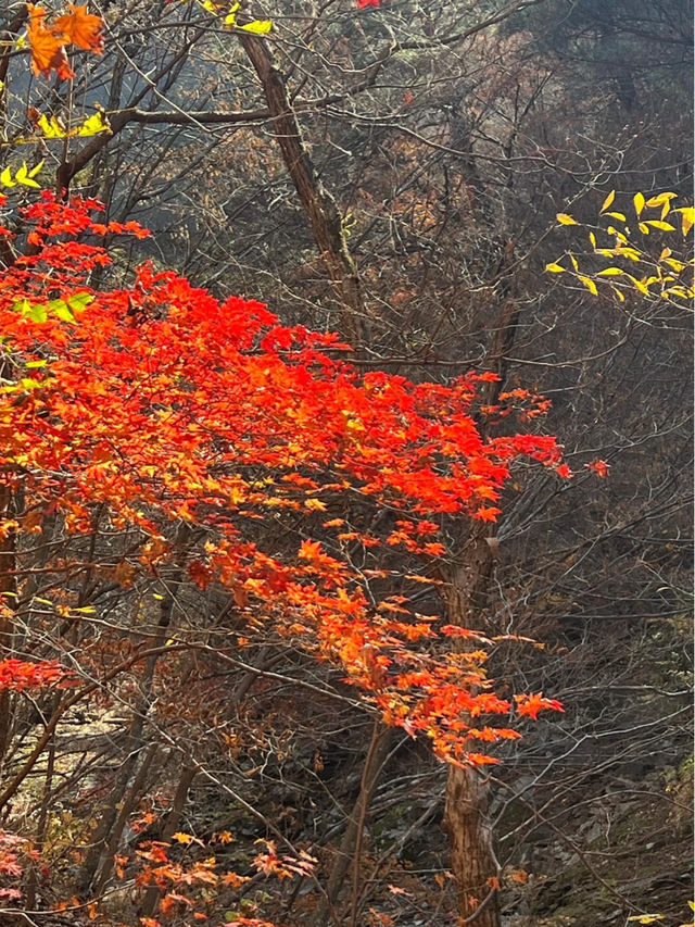 알록달록 경치가 끝내주는 등산지추천 🏞️