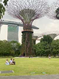 🇸🇬 Supertree Grove at Gardens by the Bay: A Futuristic Botanical Experience