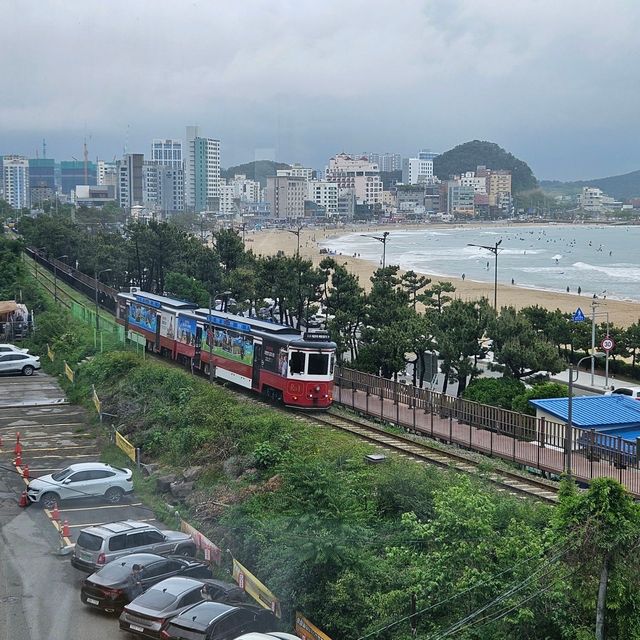 ⚓🚤부산 해운대 송정 카페 <수월경화> 바다전망