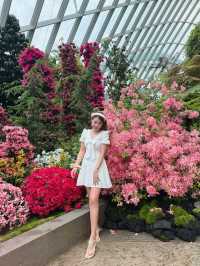 新加坡巨型溫室花園！400,000棵特色植物打卡！
