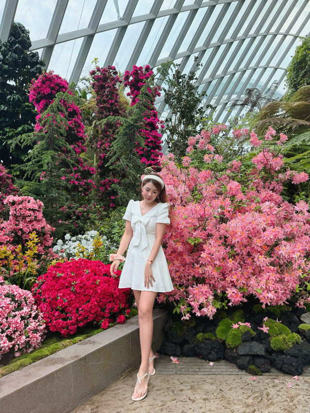 新加坡巨型溫室花園！400,000棵特色植物打卡！