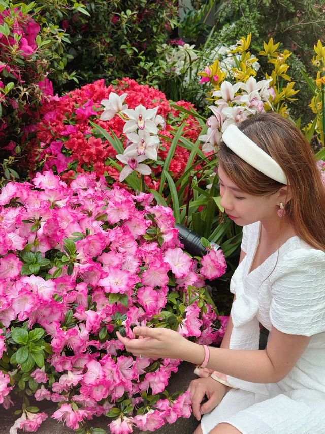 新加坡巨型溫室花園！400,000棵特色植物打卡！