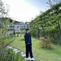 푸릇푸릇한 수풀속의 낙원 에덴 파라다이스🌳