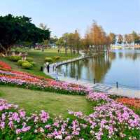 【成都植物園】春日百花齊放，2024年春遊首選