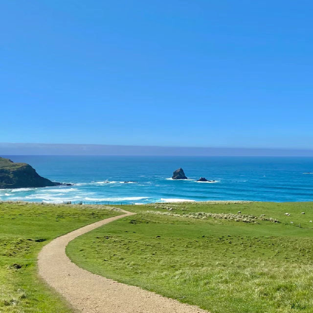 小灣海水浴場：悠閒海島生活
