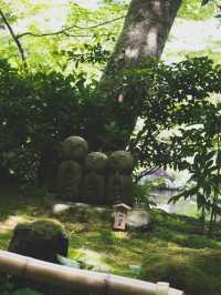 【鎌倉/長谷寺】高台から見る海と紫陽花は天国のよう