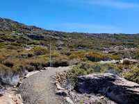 Ben Lomond National Park