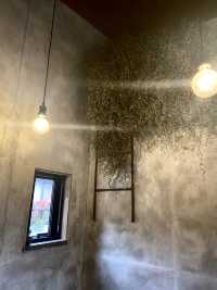 【福岡カフェ】本格的なサイフォンで淹れてもらえる美味しいコーヒー
