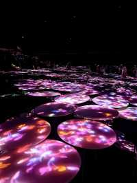 東京必去麻布台「Teamlab」無界藝術展覽 