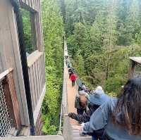 North Vancouver에 자연경관이 멋진 공원Capilano suspension Bridge Park