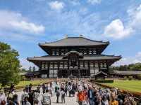 日本奈良-參拜世界遺產的青銅巨佛：東大寺
