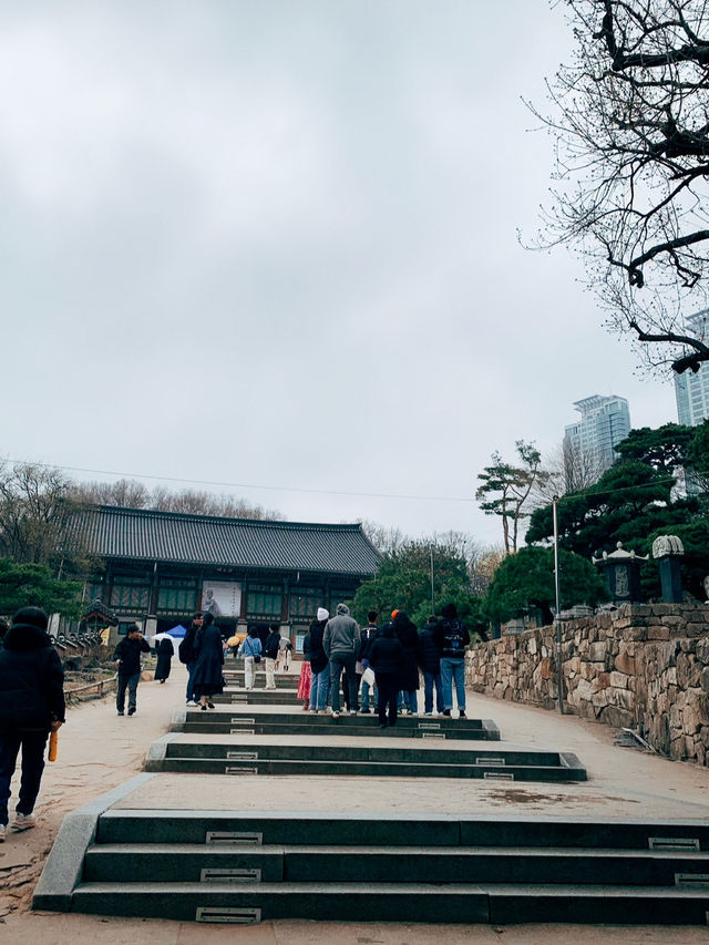 🇰🇷韓國首爾景點👣免費參觀的韓國古寺廟奉恩寺