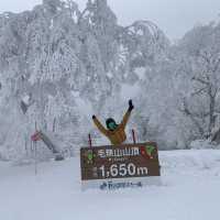 野澤溫泉 滑雪人天堂