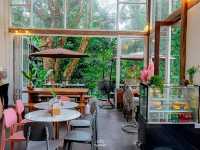 คาเฟ่ท่ามกลางธรรมชาติ จังหวัดระนอง