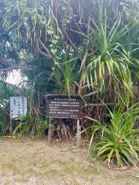 奄美大島　奄美の自然を感じる公園🌺