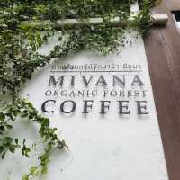 MiVana Coffee คาเฟ่ป่าในเมือง