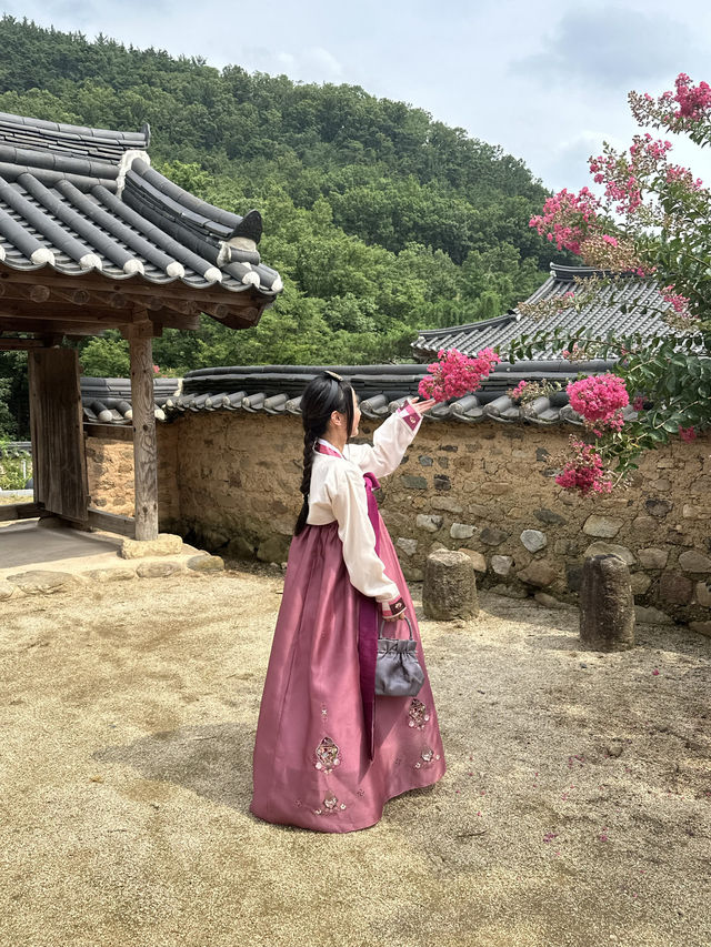 【韓国/大邱】大邱で1番古い村で韓服体験！