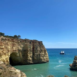 Carvoeira