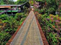 บ้านเขาเทพพิทักษ์ สุราษฎร์ธานี