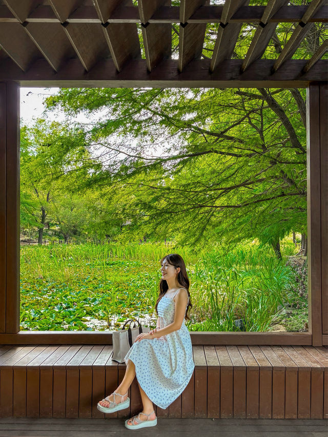 푸릇 푸릇한 자연을 바라보기 좋은 한국도로공사 수목원💚
