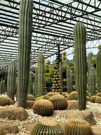 สวนนงนุช พัทยา