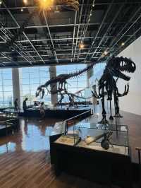 【長崎県:野母崎】長崎県で発見された恐竜の化石を展示！