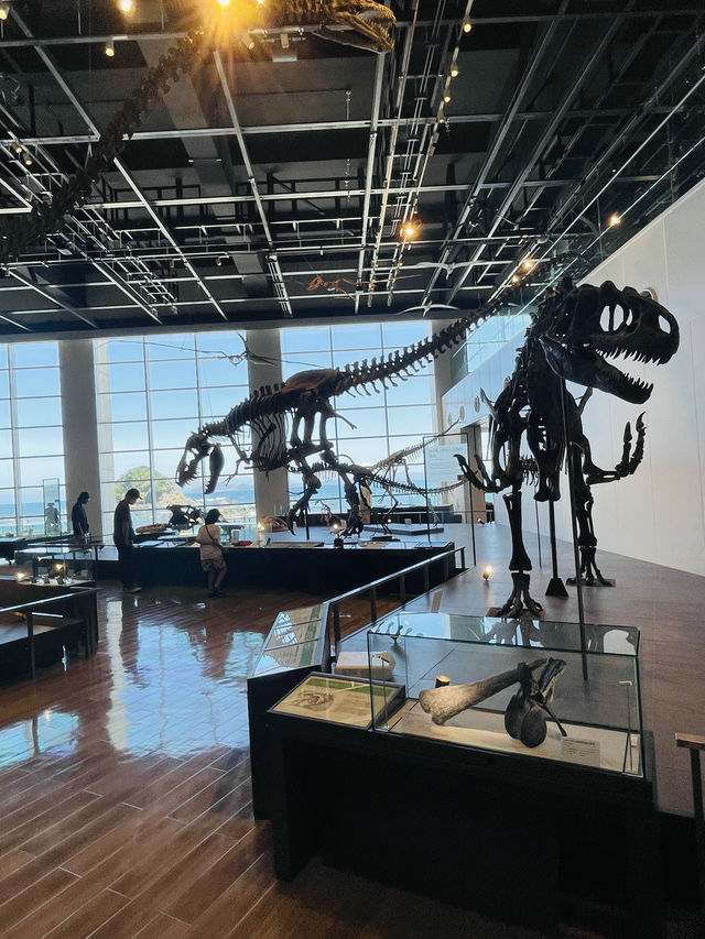 【長崎県:野母崎】長崎県で発見された恐竜の化石を展示！