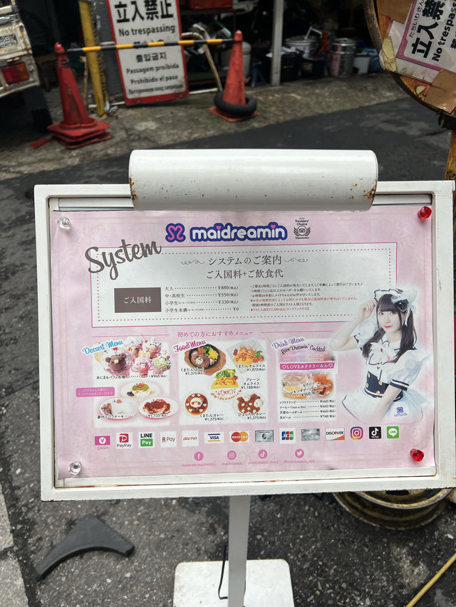 일본에 왔으면 한번은 가보세요🤣