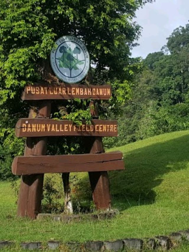 Danum Valley Conservation Area