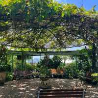 🇲🇾Secret Garden 1 Utama: A Green Paradise Above the City
